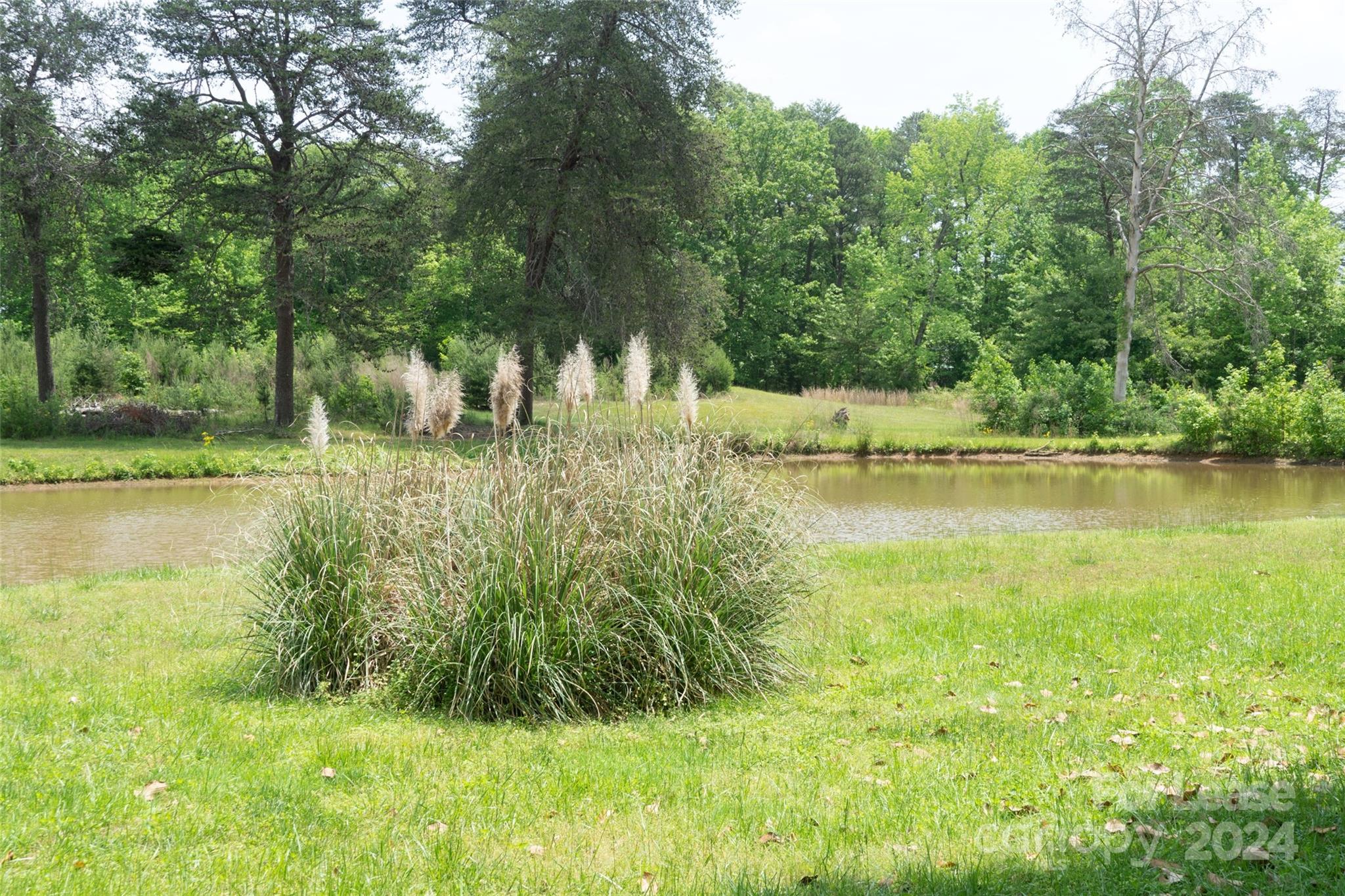 Red Fox - Residential Lease