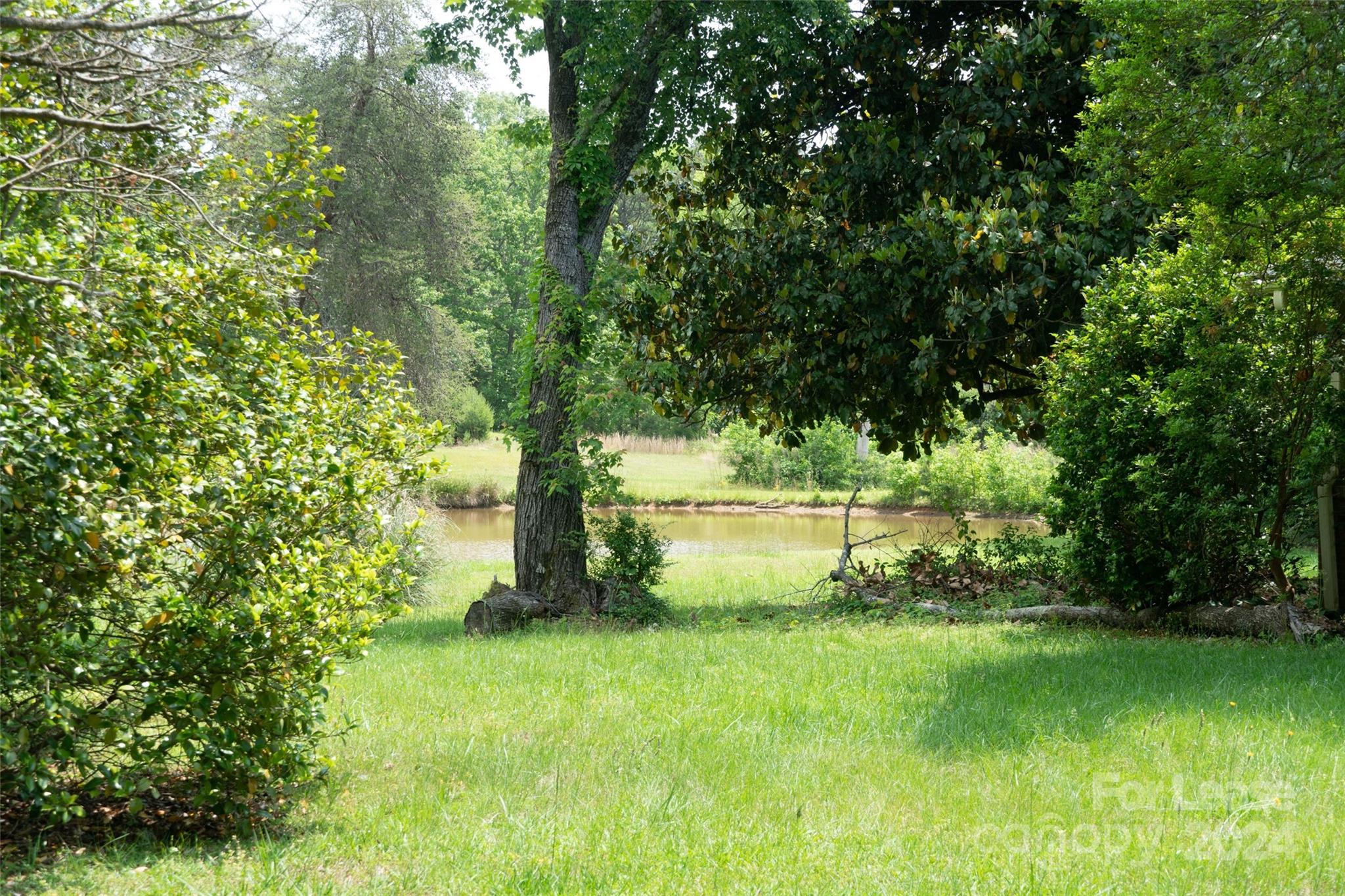 Red Fox - Residential Lease