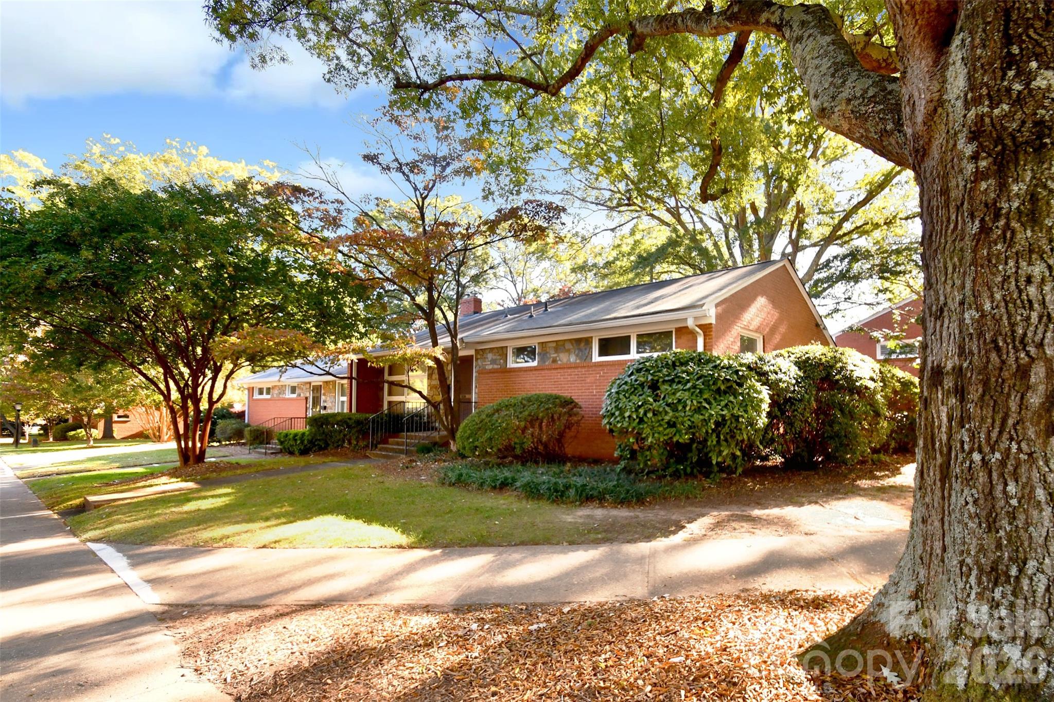 4547 Woodlark Lane