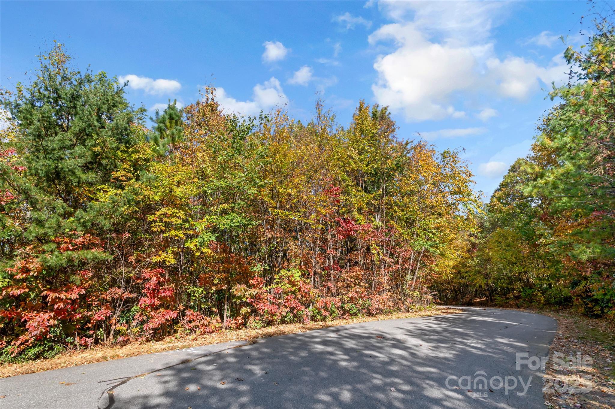 Catawba Falls Preserve - Land