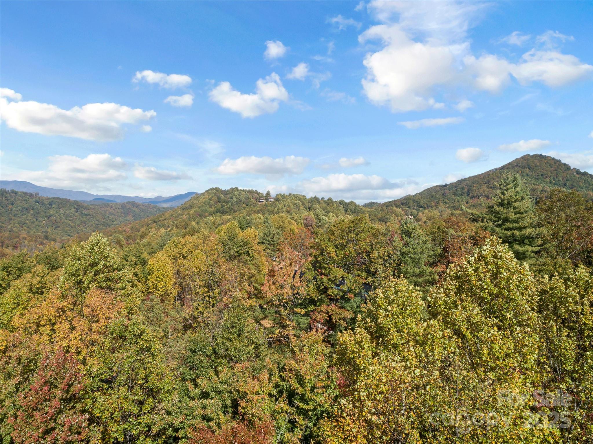 Catawba Falls Preserve - Land