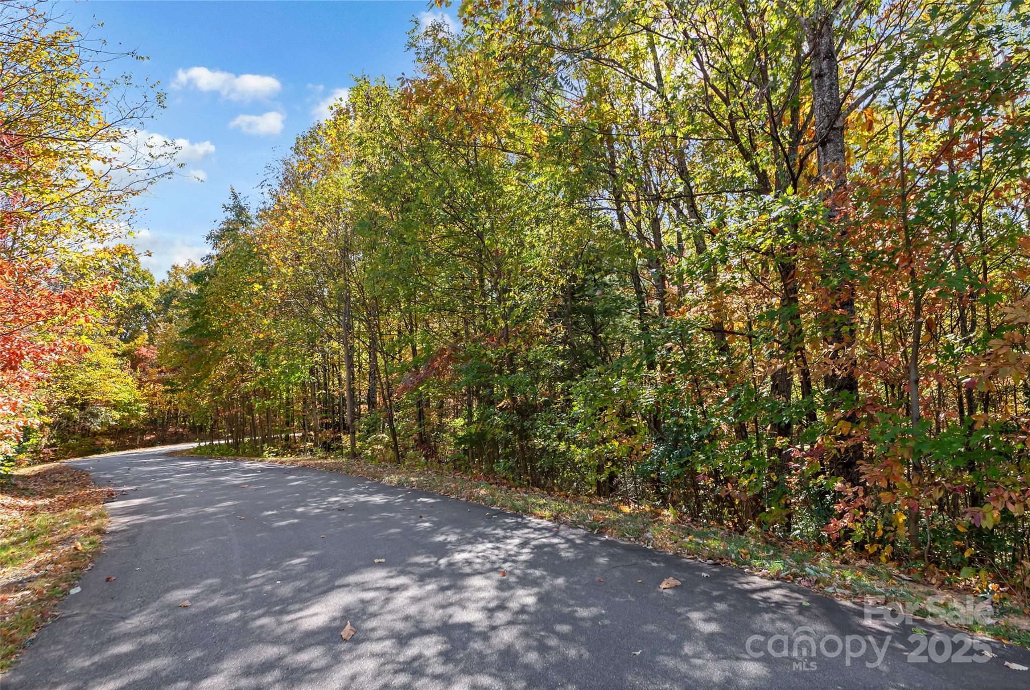 Catawba Falls Preserve - Land