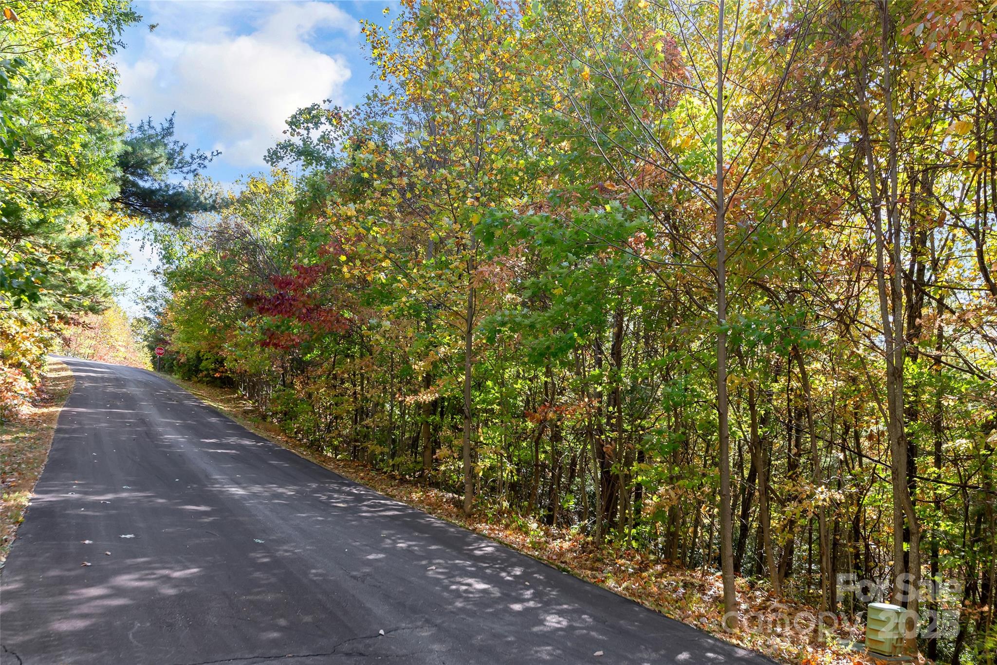 Catawba Falls Preserve - Land