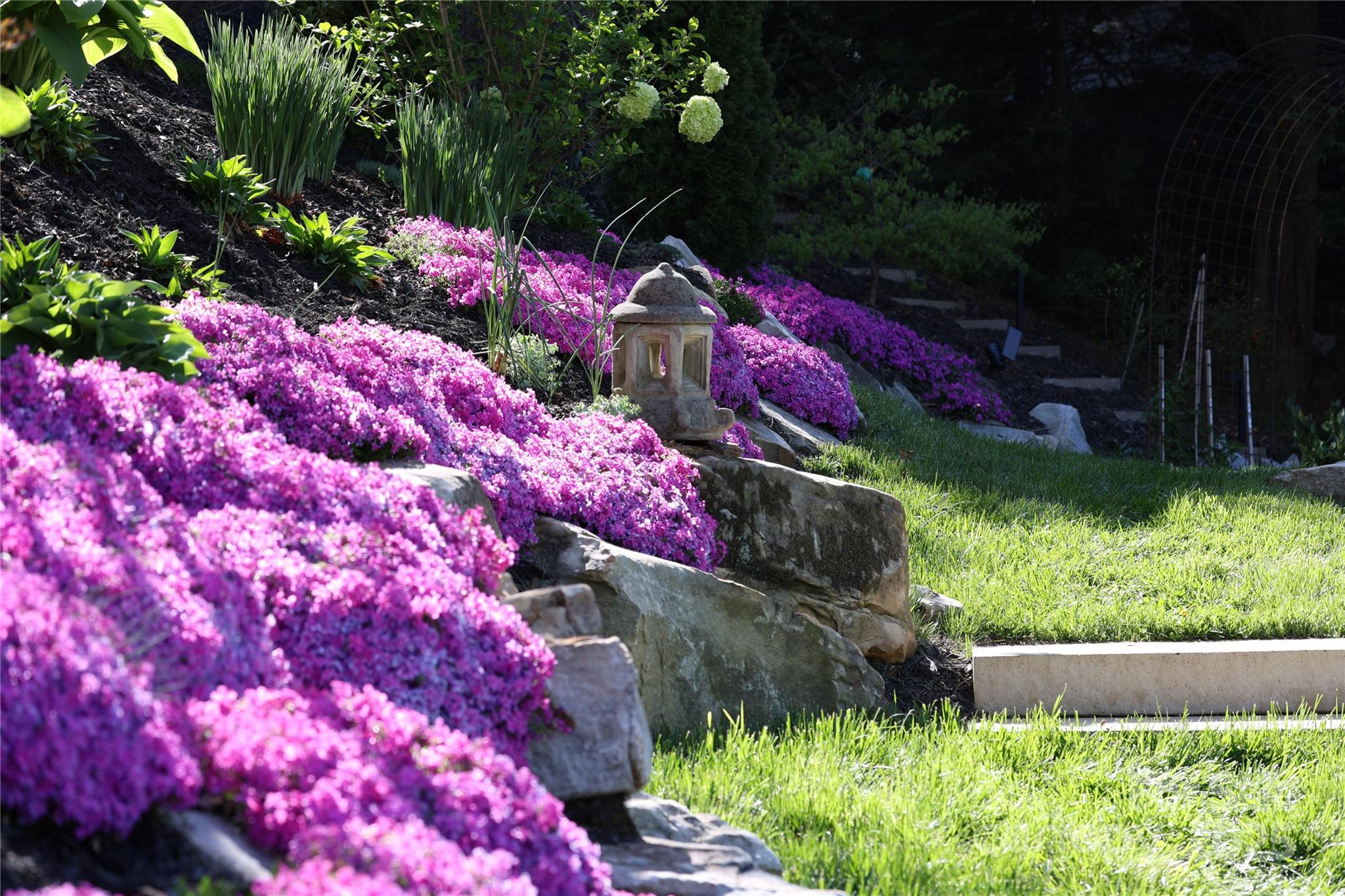 Sunset Mountain - Residential