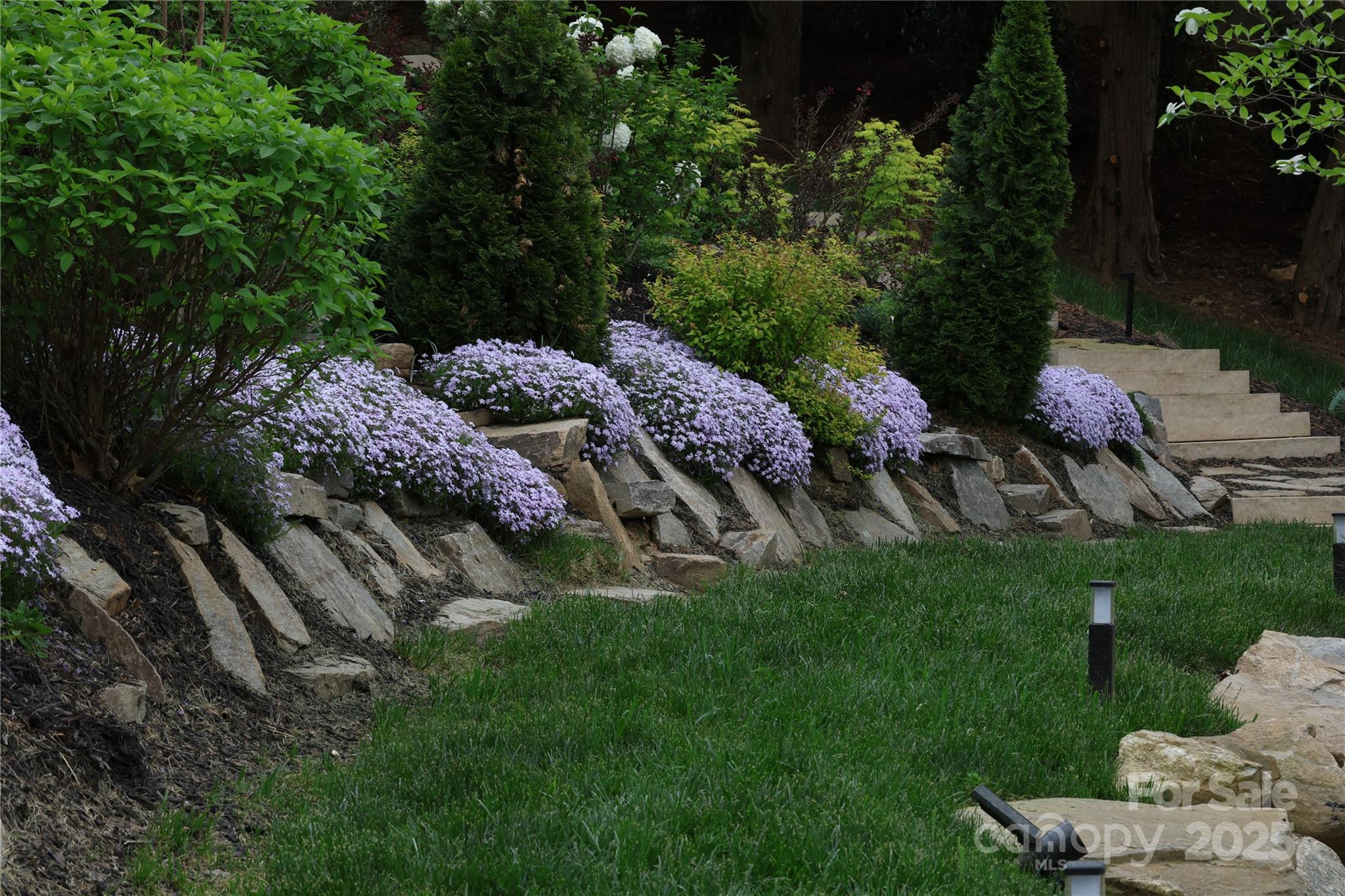 Sunset Mountain - Residential