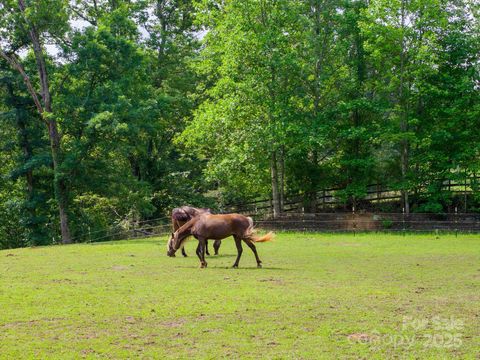 777 S River Road Tryon NC 28782
