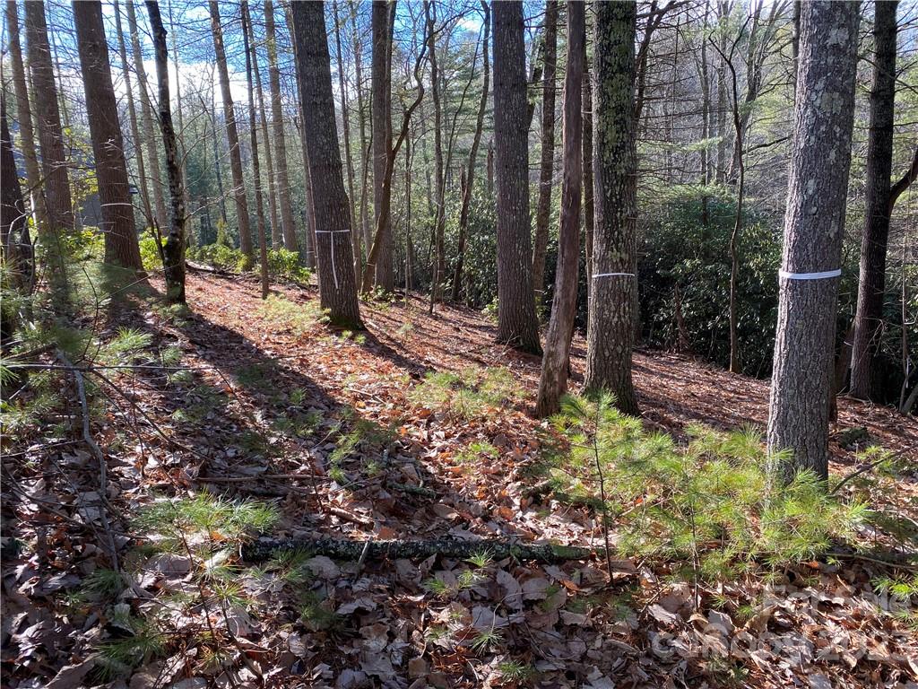 Cummings Cove - Land