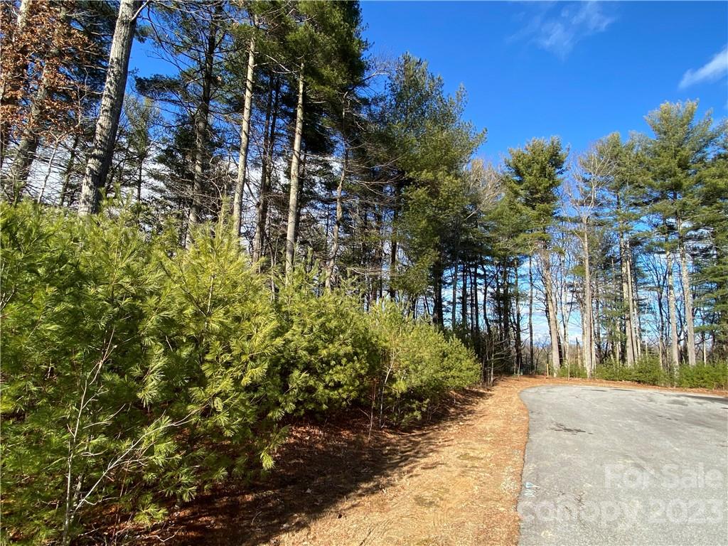 Cummings Cove - Land