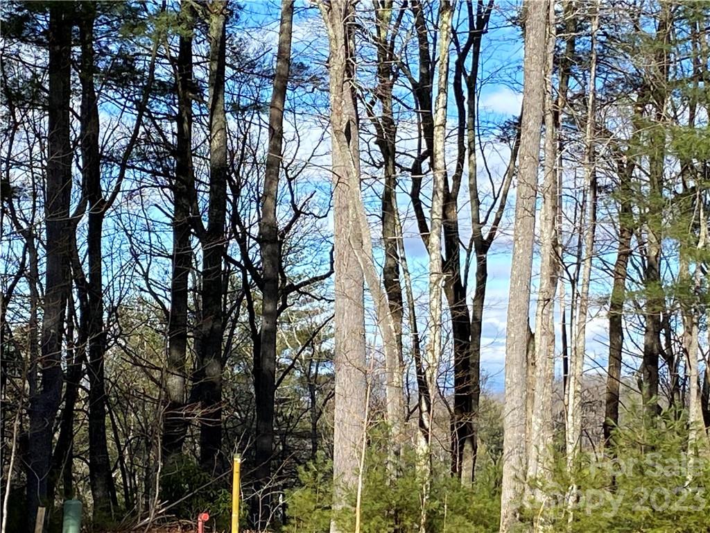 Cummings Cove - Land