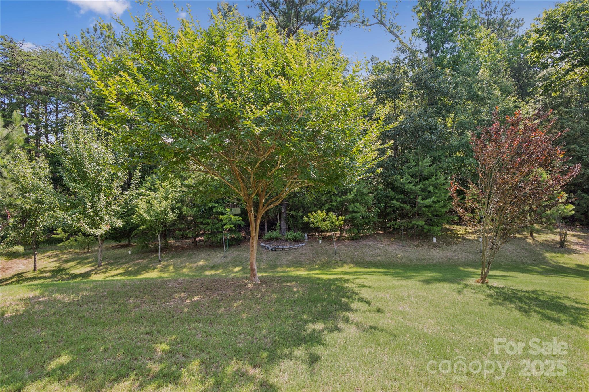 Hawks Creek - Residential