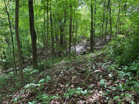 TBD Adams Street 1 Waynesville NC 28786