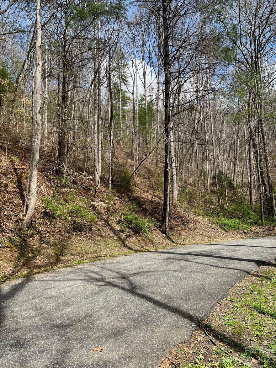 Looking for a great community to build your dream home. Bring your house plans and get started! This property has 2 lots combined for an almost one acre wooded lot! Plus a stream and a view! Access by paved street. Well & Septic will need to be installed. Located in the Village of Forest Hills. Lightly restricted. Convenient to Western Carolina University and Sylva for shopping. Schedule your showing today!