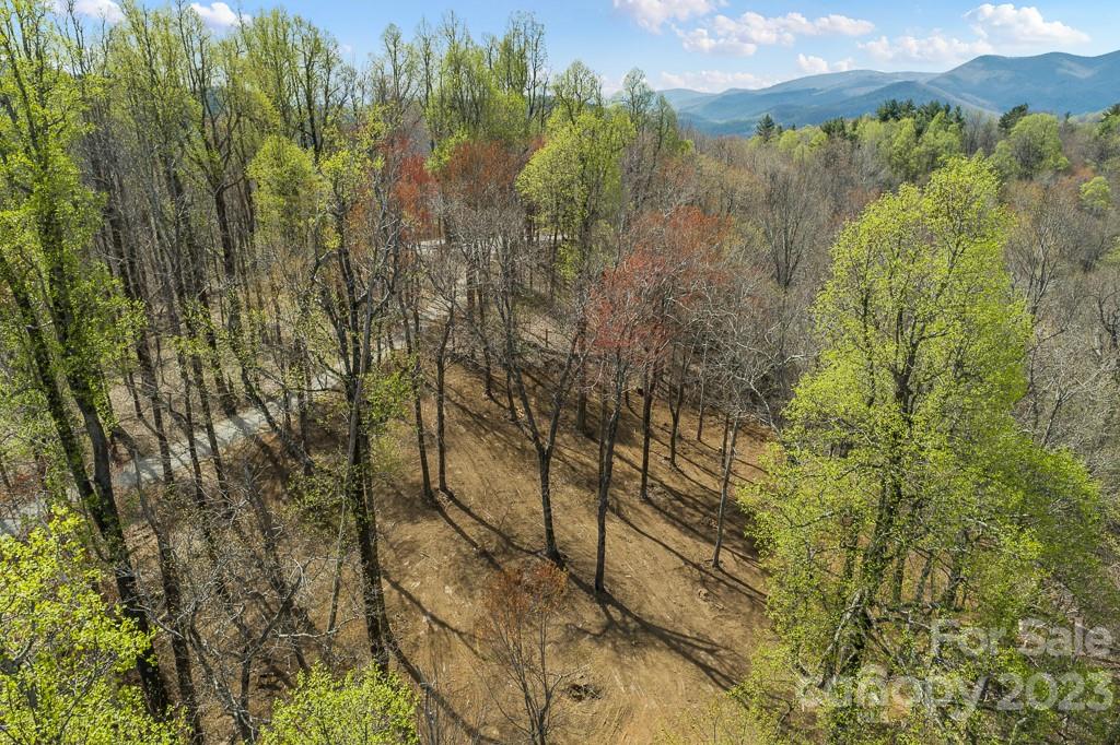 9999-10 Rocky Knob Road