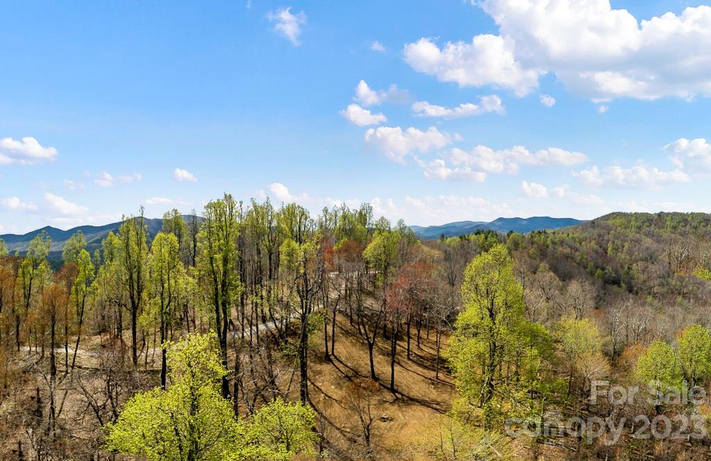 9999-10 Rocky Knob Road