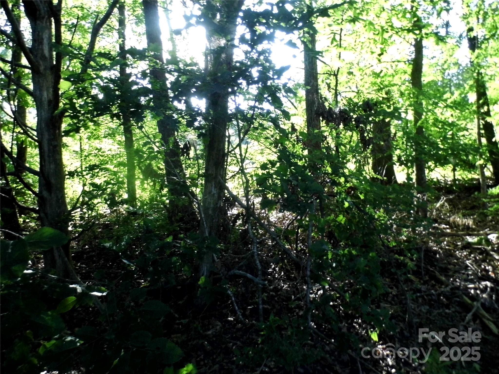 00 Belk Mill Road