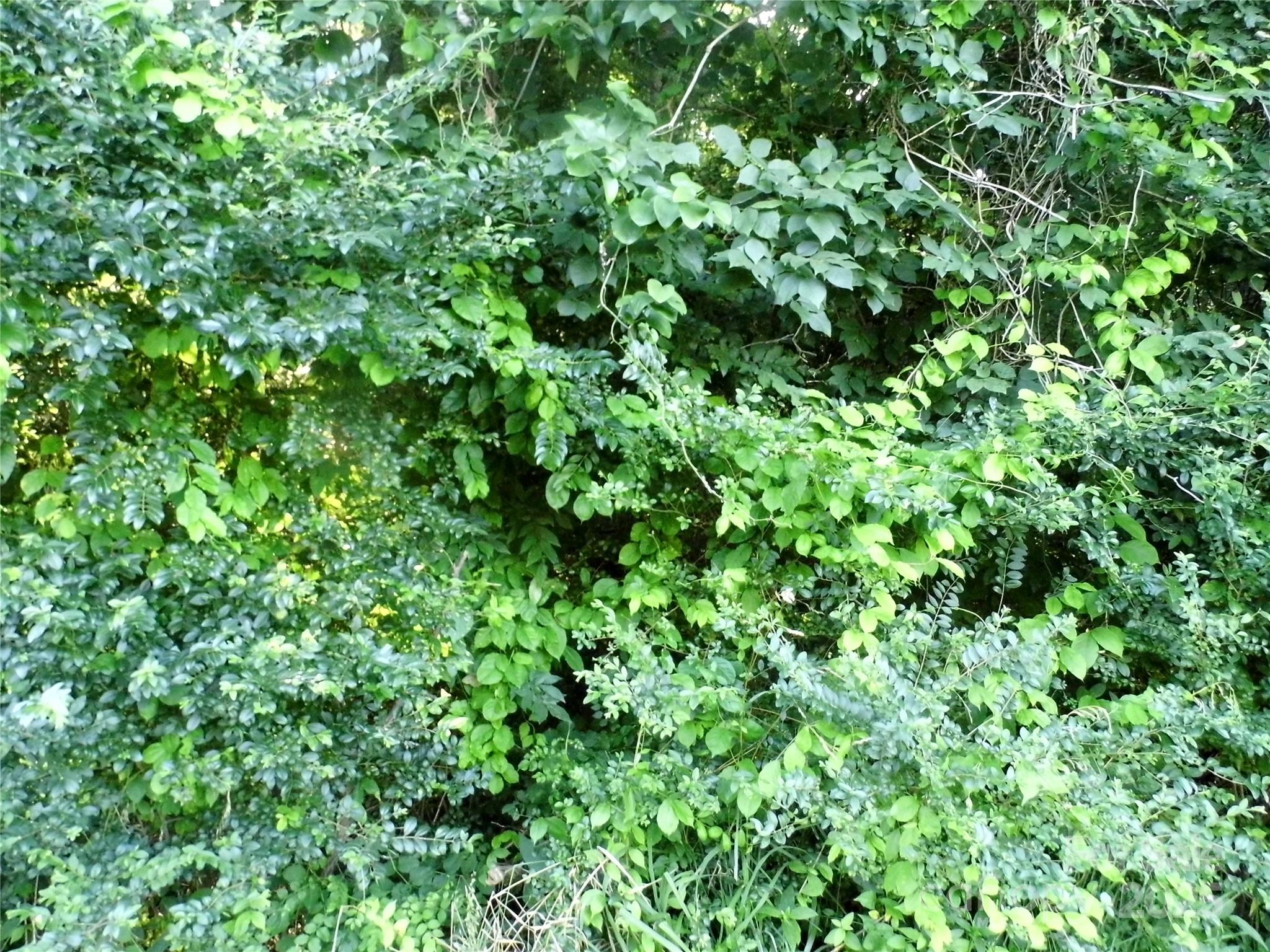 00 Belk Mill Road