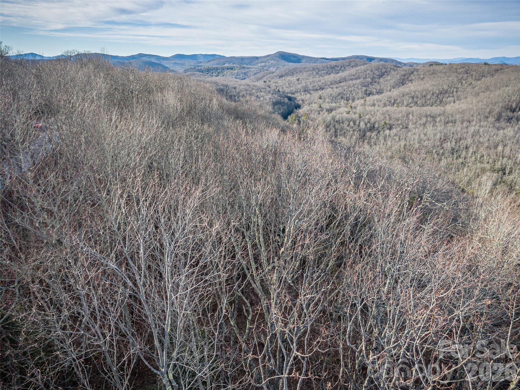 Lake Toxaway Estates - Land