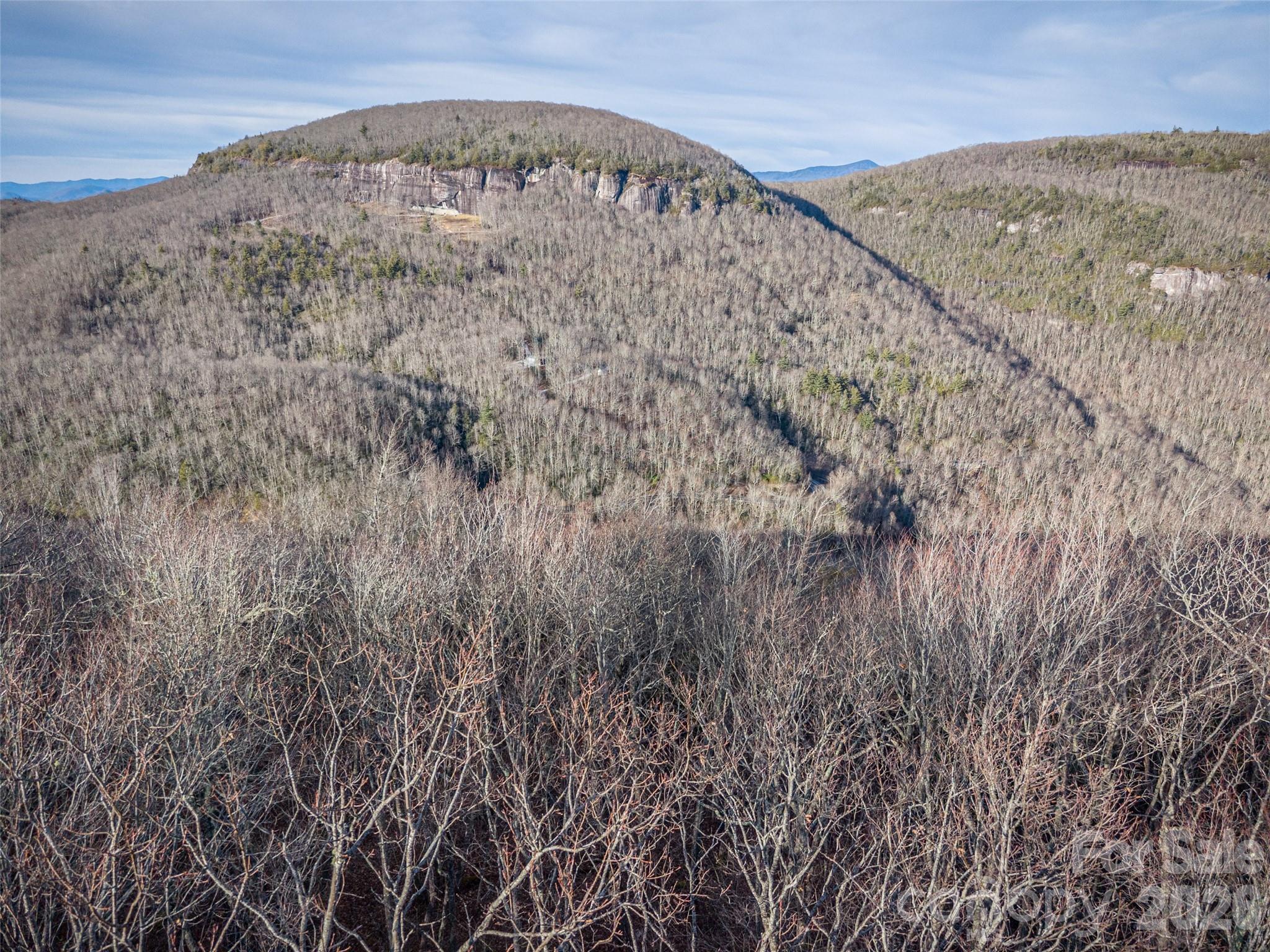 Lake Toxaway Estates - Land