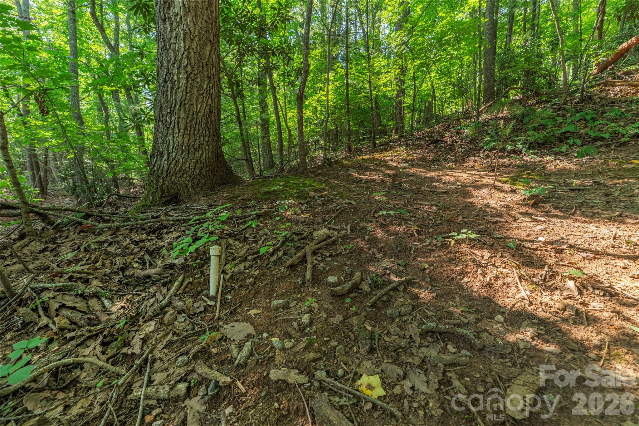 99999 Claru Ridge