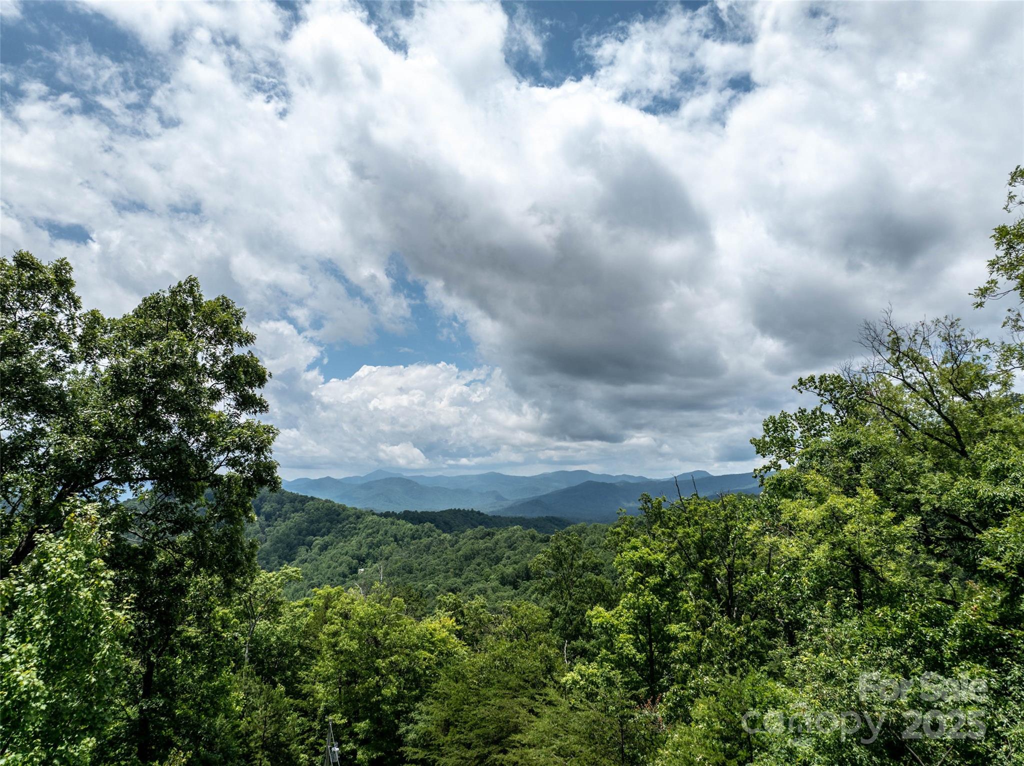 Pinnacle Mountain - Land