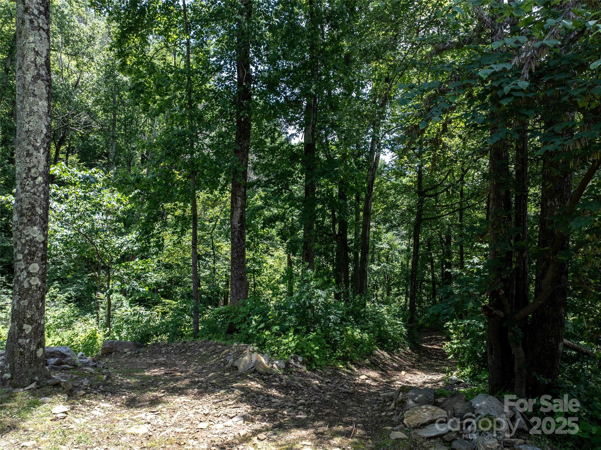 Pinnacle Mountain - Land