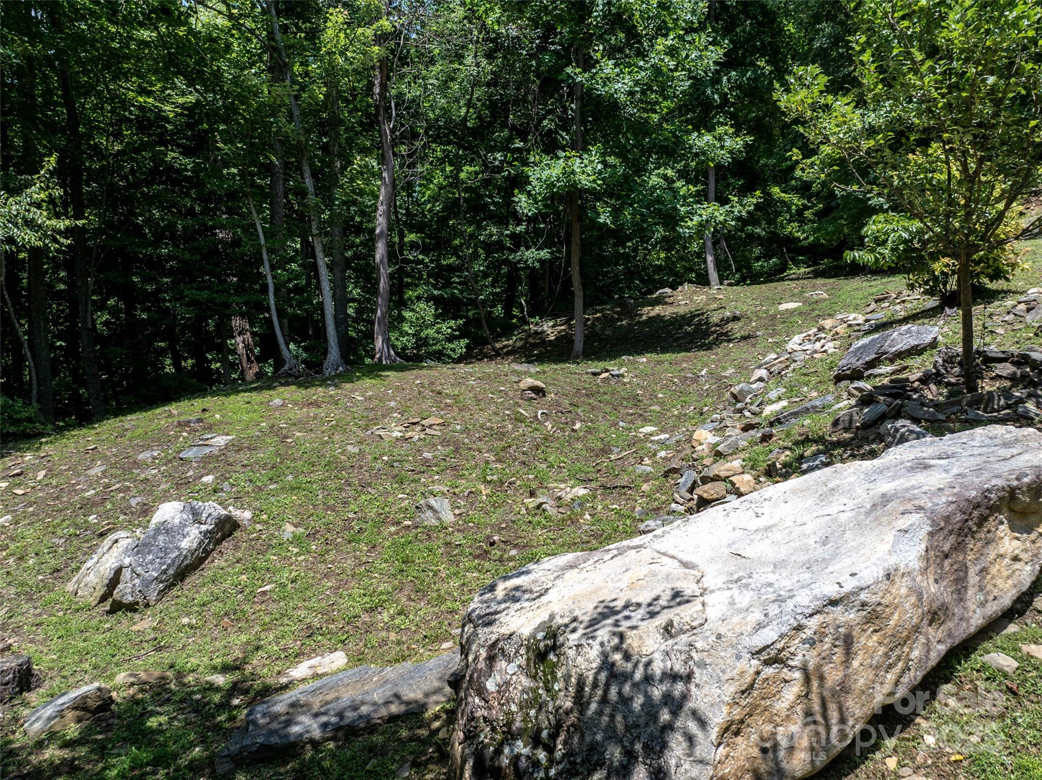 Pinnacle Mountain - Land