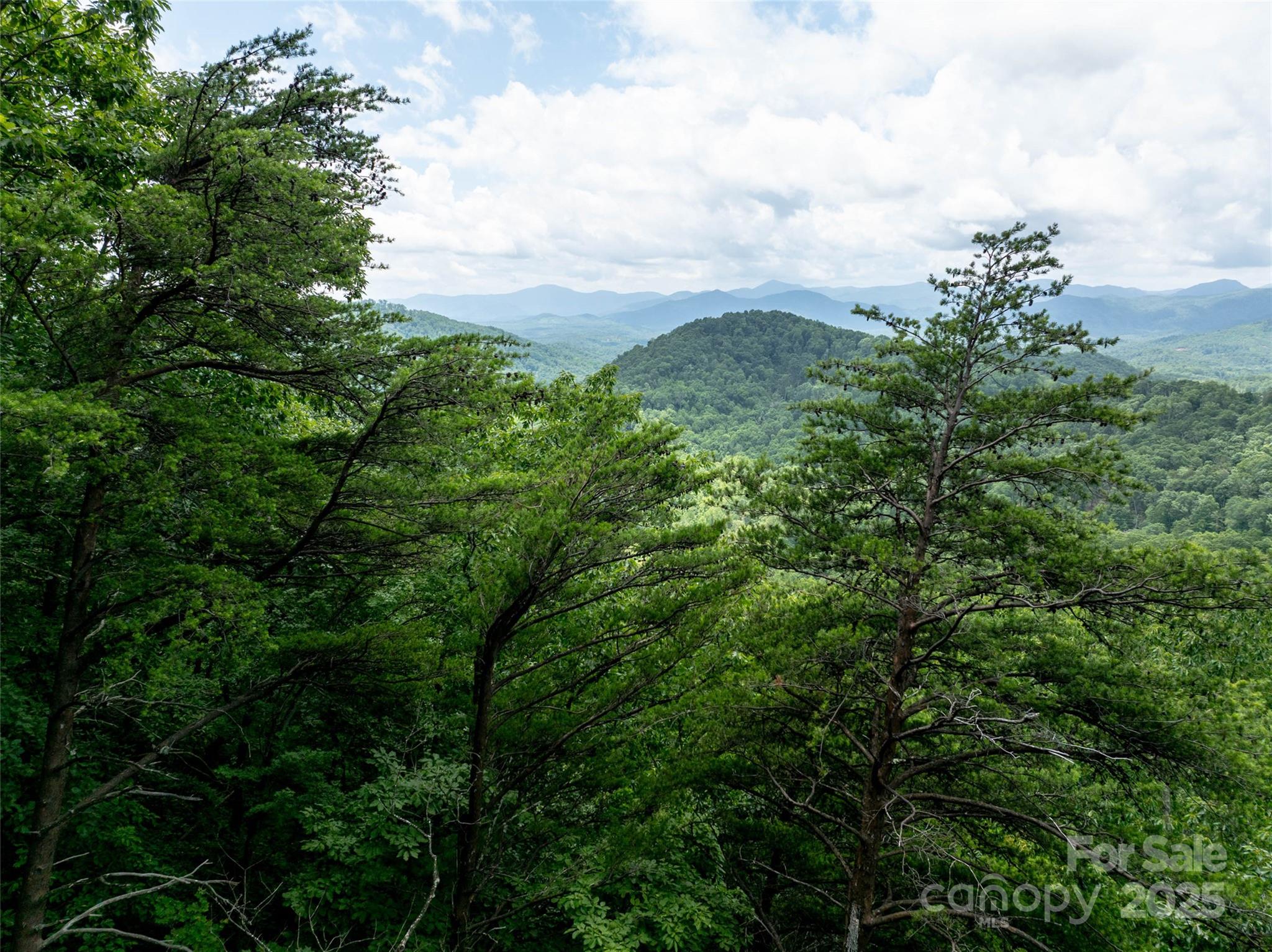 Pinnacle Mountain - Land