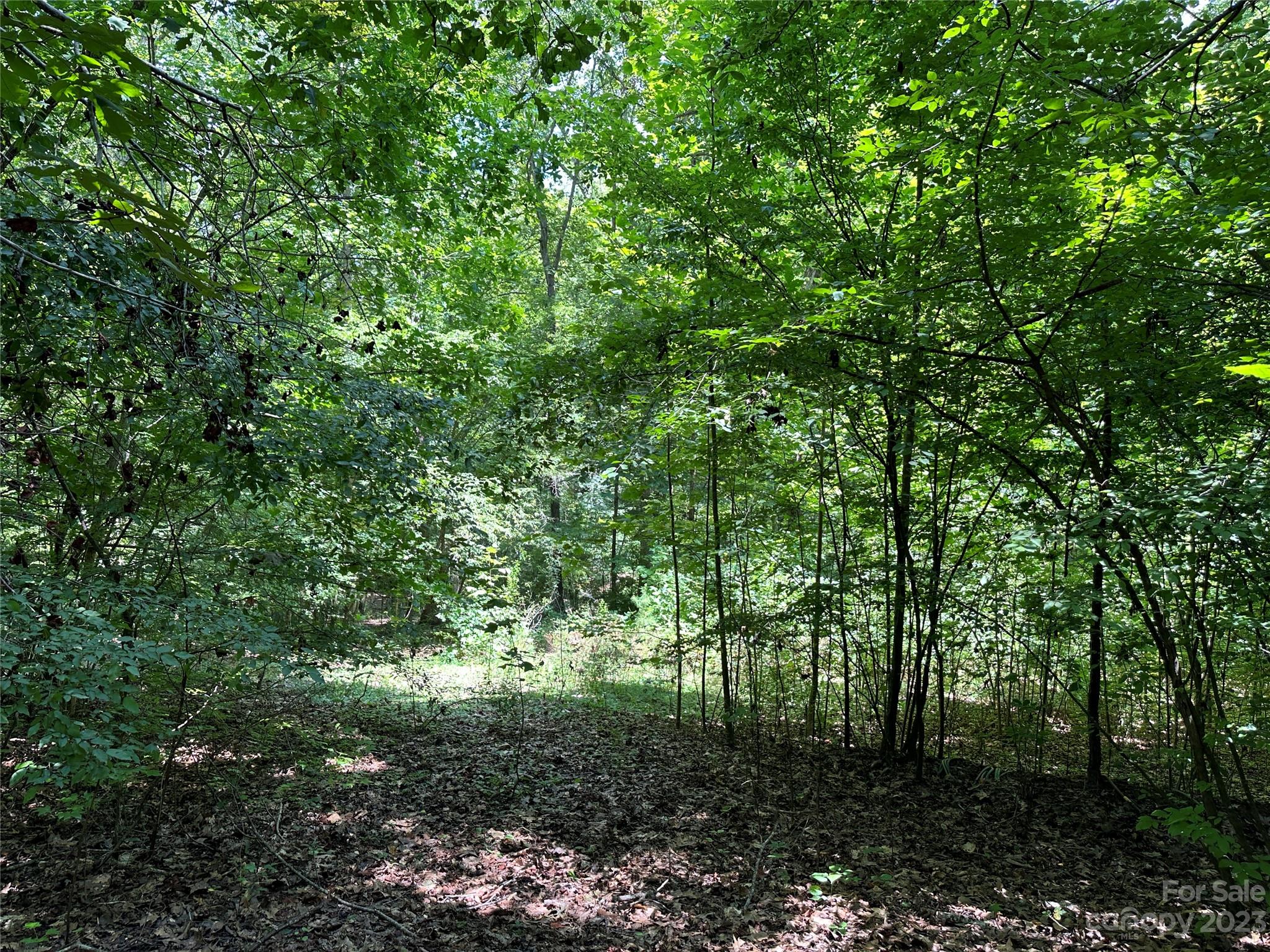 Caroland Acres - Land