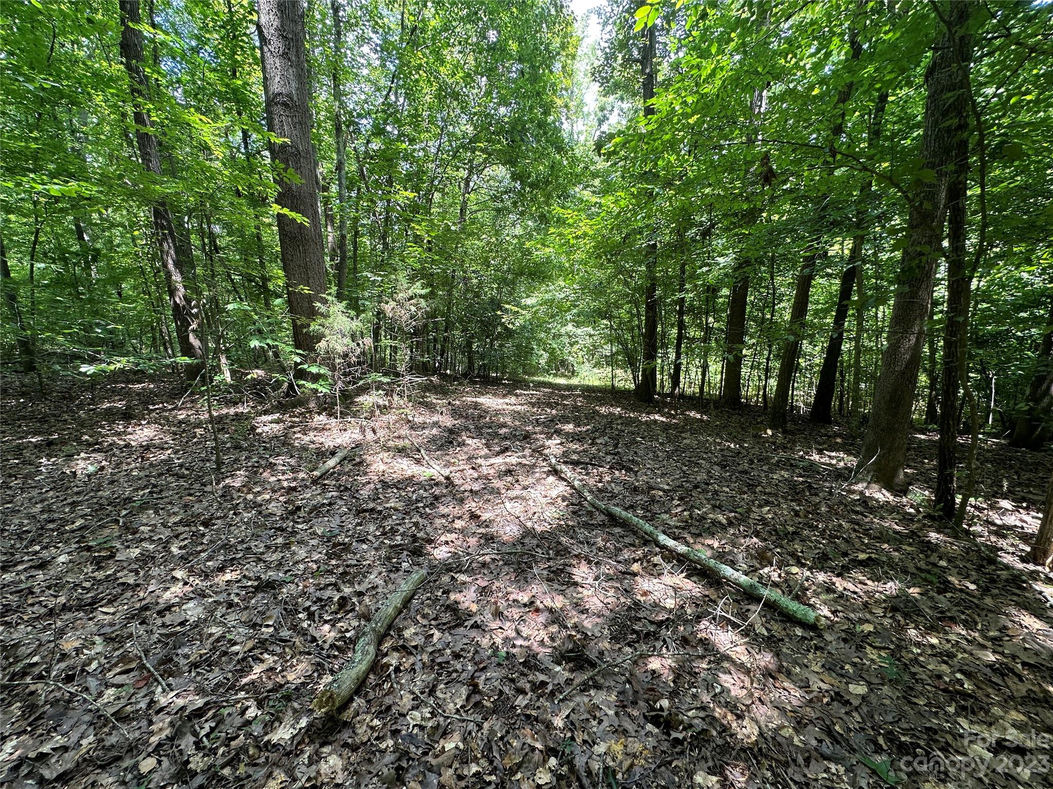 Caroland Acres - Land