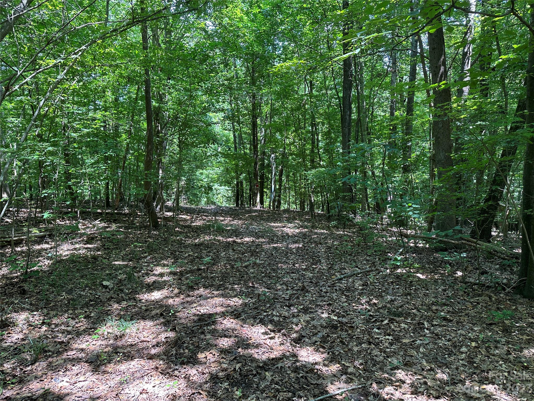 Caroland Acres - Land