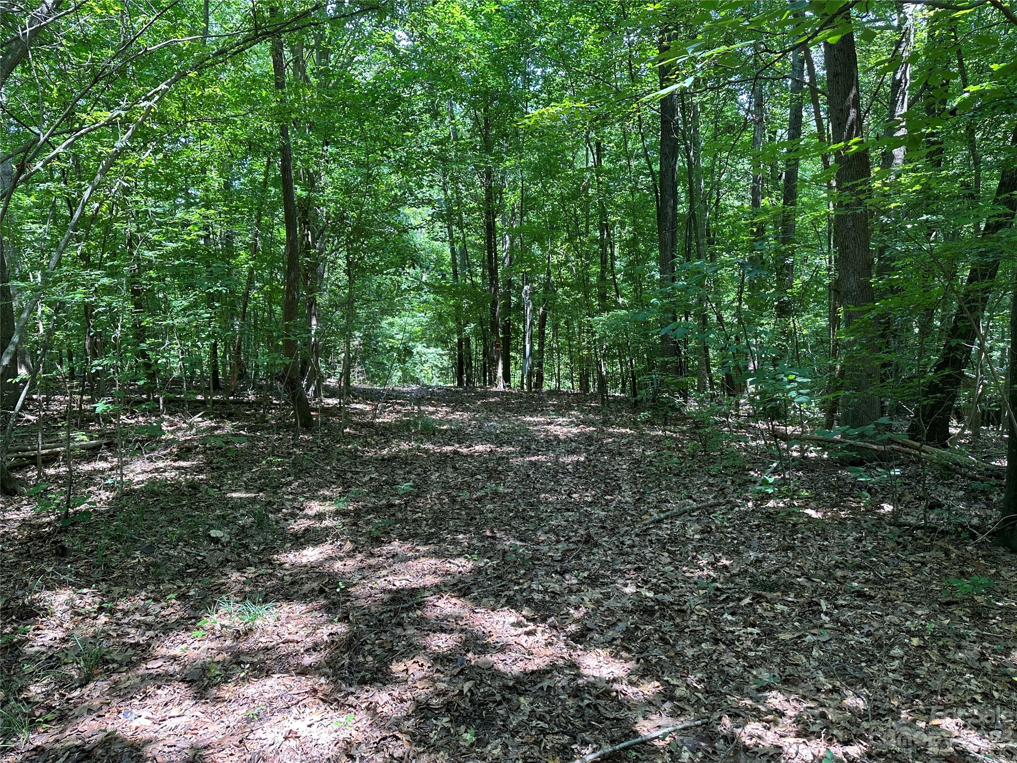 Caroland Acres - Land