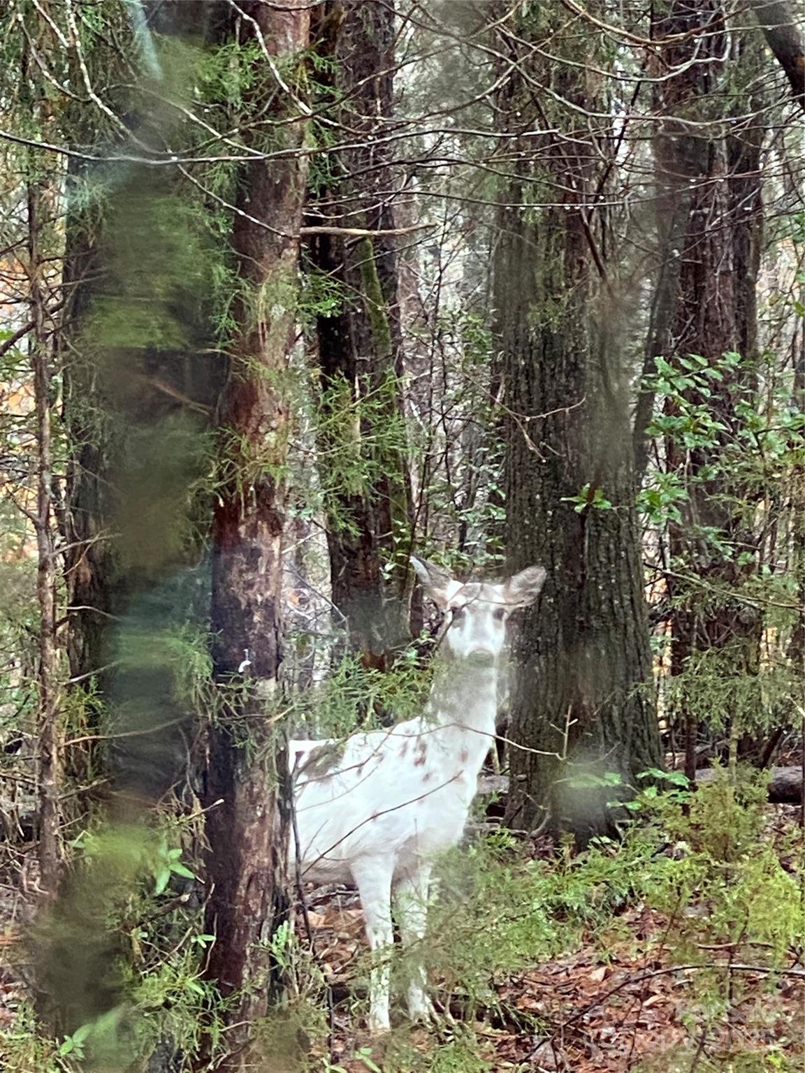 Holiday Shores - Residential