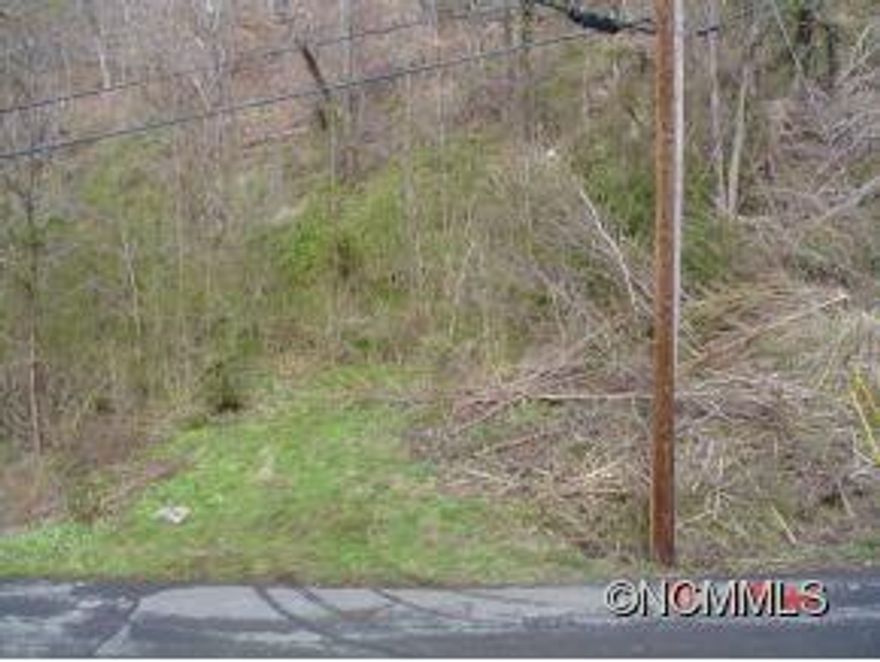Rare small grandfathered lot in Marshall with views of the French Broad River. This approx 65' x 1200' city lot has city water and city sewer and all utilities including cable. Lends itself to a sweet two story house with garage below and patio/gardenabove off master bedroom with views of the river. Sorry, no mobile homes. Priced to sell.