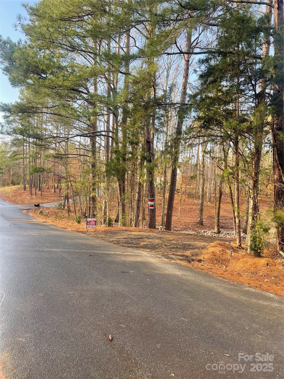0 Wilderness Lane