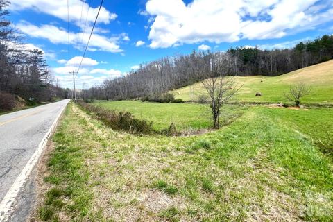 99999 Martin Branch Road Leicester NC 28748