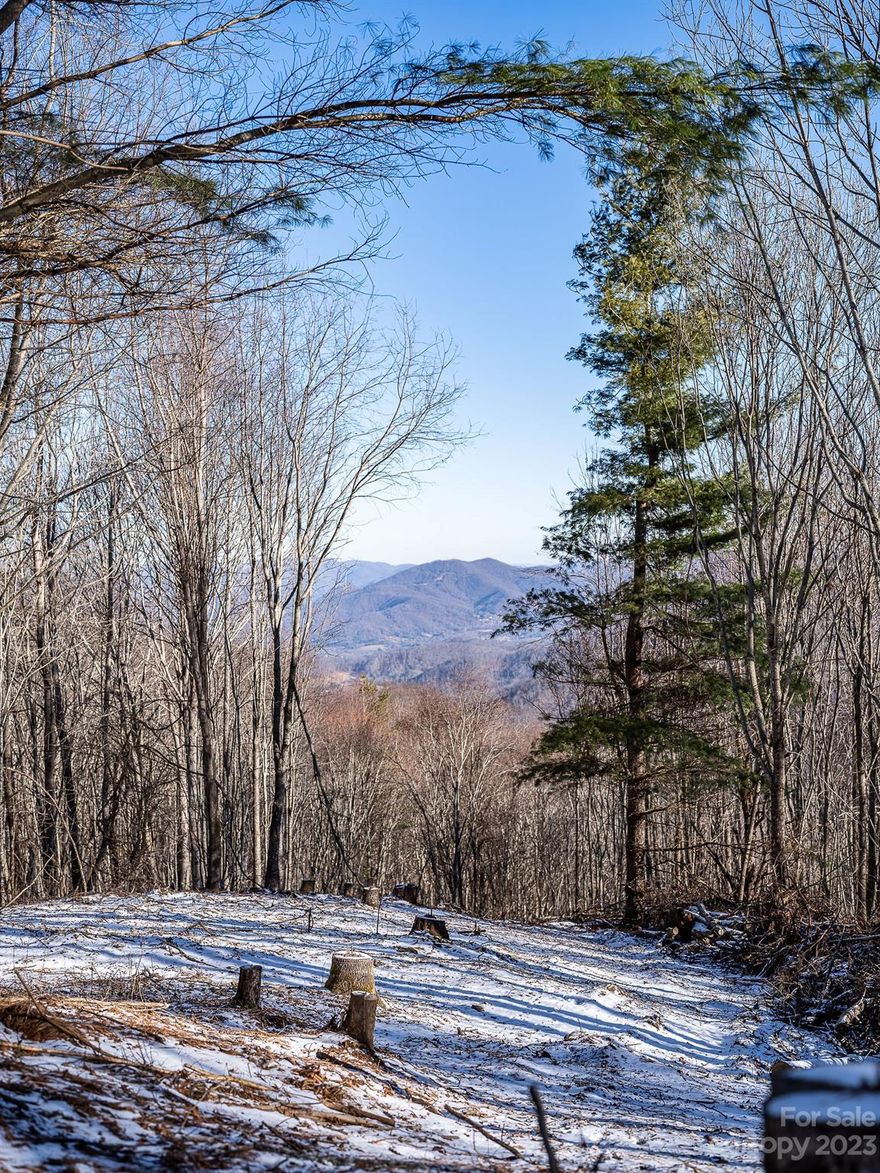 EASY ACCESS. BUILD SITES CLEARED. LAYERED MOUNTAIN VIEWS. DRIVEWAY.  PLUS: septic improvement permit on file, 800ft well already drilled (seller has never tested or used well, so we cannot confirm if it has water or not), driveway cut in, cleared build site, and plenty of level land. Enjoy all the perks of a gated community without having to be a member of the HOA.  Located on the outskirts of Crestview Pointe community & HOA, enjoy the use of the gate and the beautifully paved road without any of the associated HOA restrictions, just an annual road/gate maintenance contribution.  Small portion of approach to the lot is gravel road, RMA unknown.  5 miles to downtown Waynesville, 3 miles to Waynesville golf club, 11 miles to the hospital, 4 miles to the grocery store, 36 miles from AVL.  Check out the VIDEO for a lay of the land. Enjoy a peaceful life in the mountains without giving up the amenities of city life.  1425 Presidential drive is READY for your dream home!  VIDEO available!