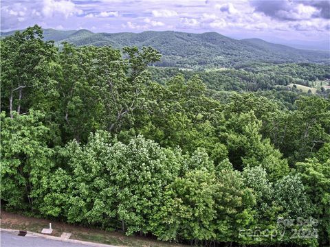 1094 Mills River Way 46 Horse Shoe NC 28742