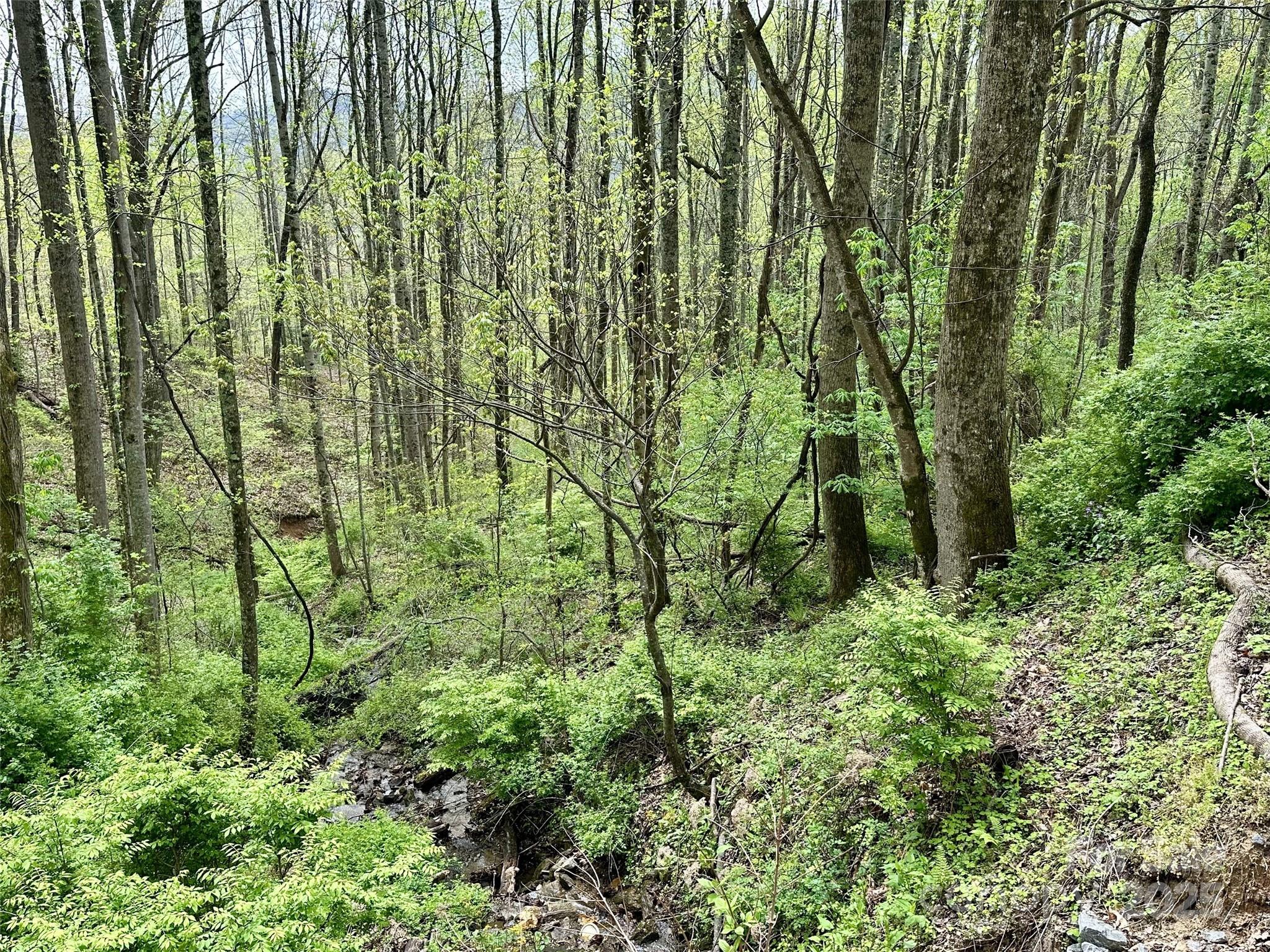 1 Deer Creek Trail