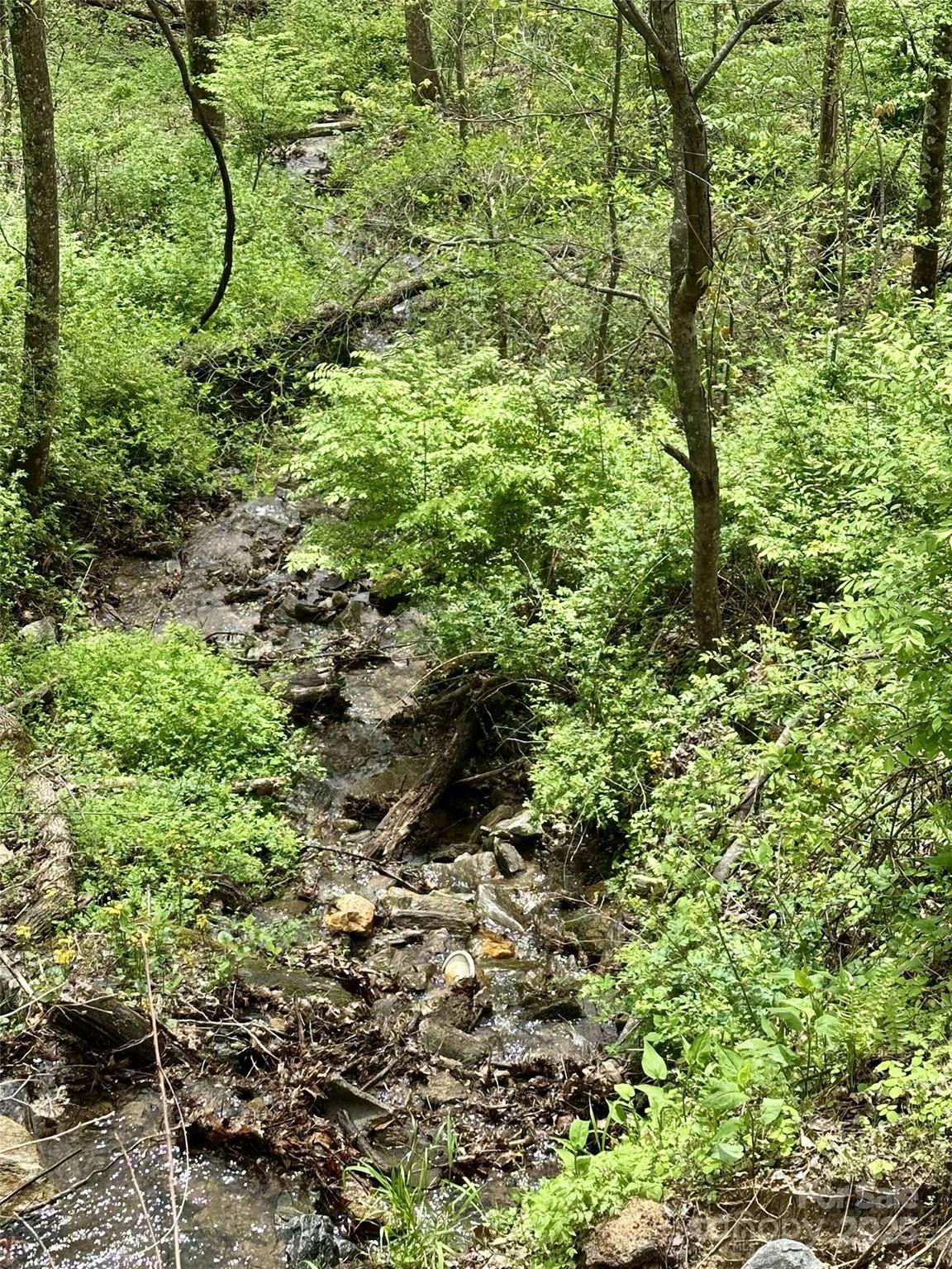 1 Deer Creek Trail