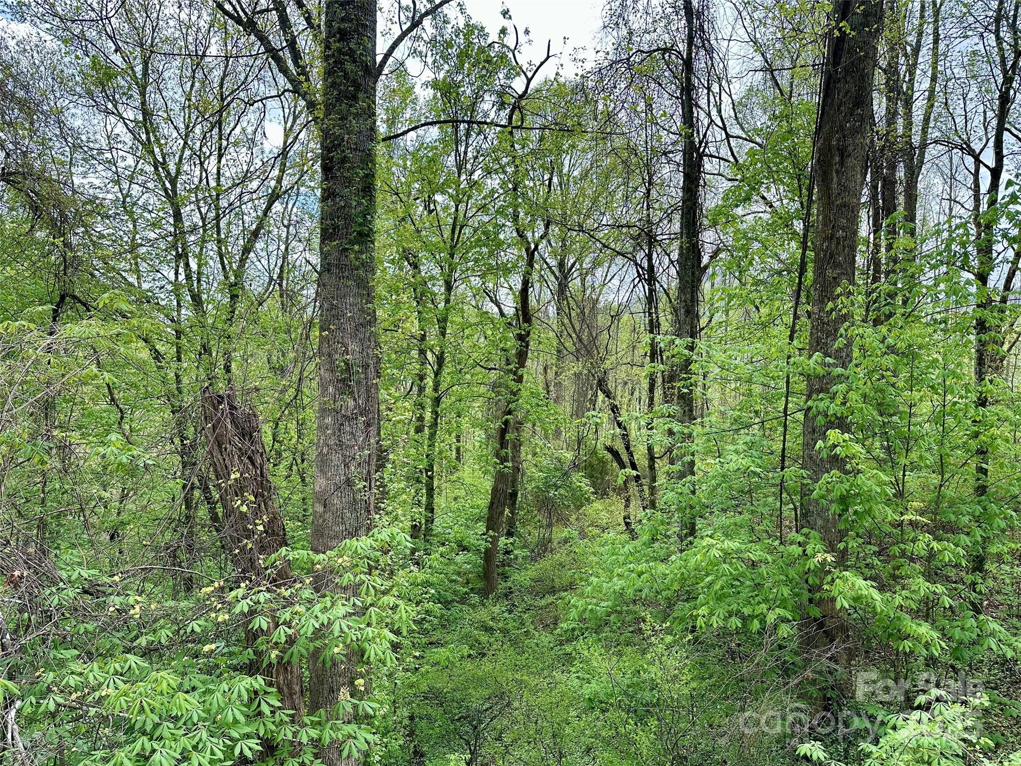 1 Deer Creek Trail