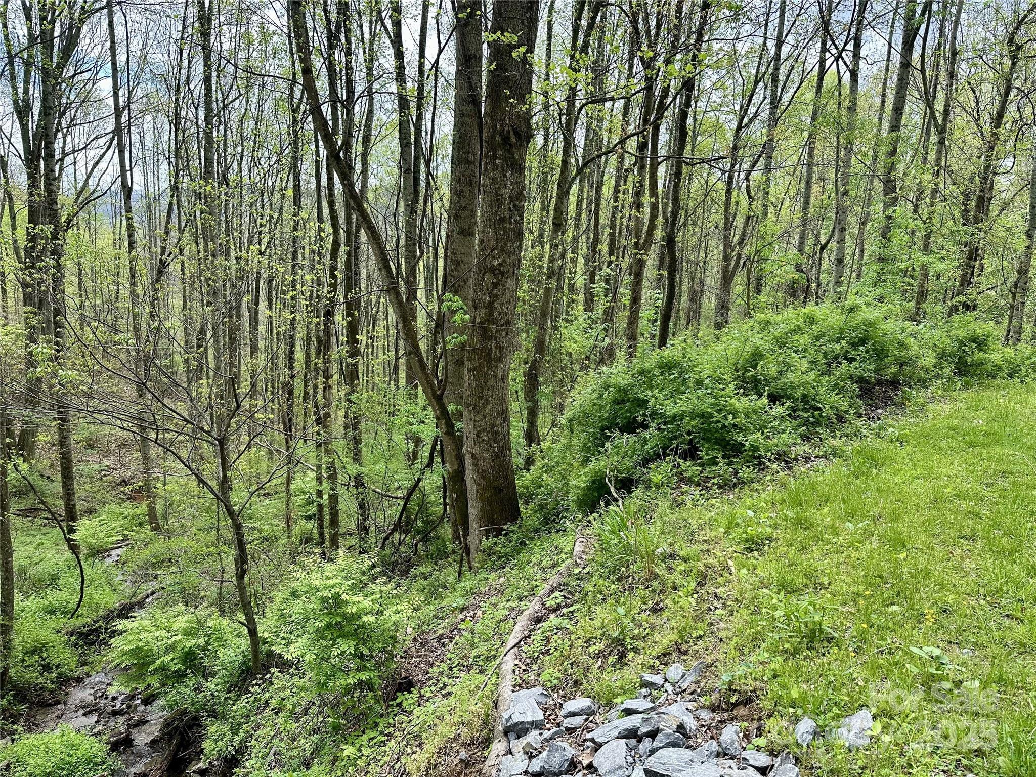 1 Deer Creek Trail