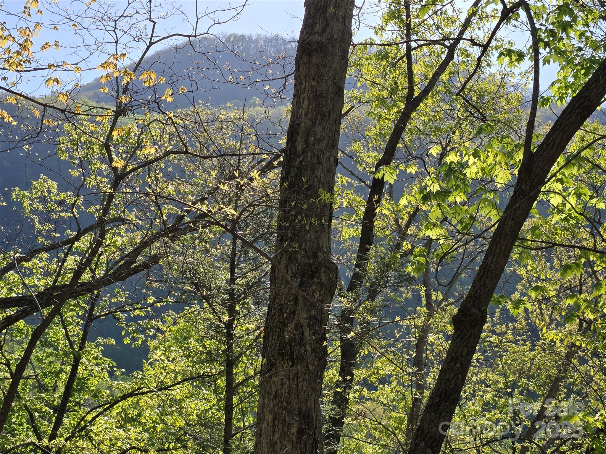 Rumbling Bald on Lake Lure - Land