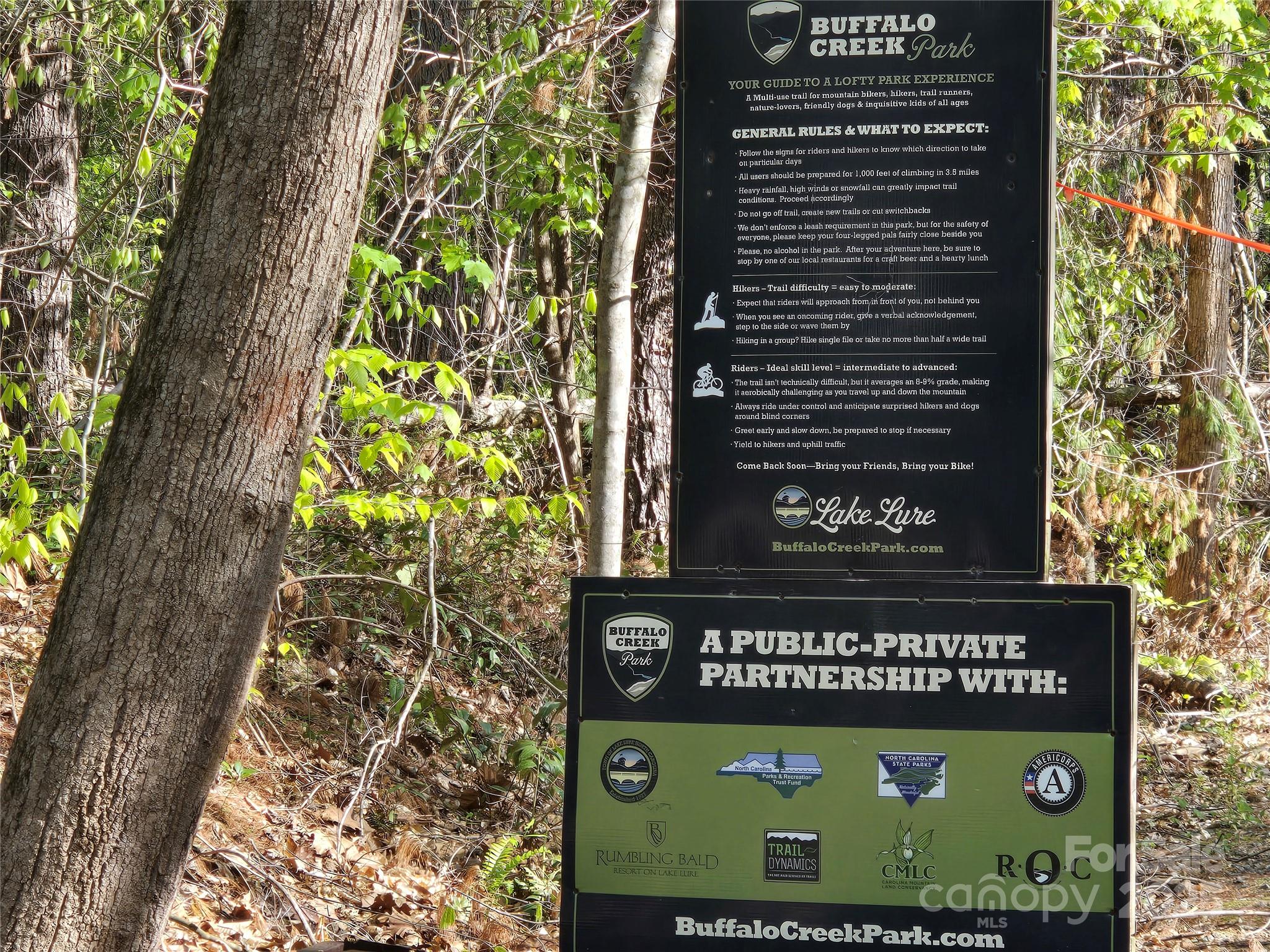 Rumbling Bald on Lake Lure - Land