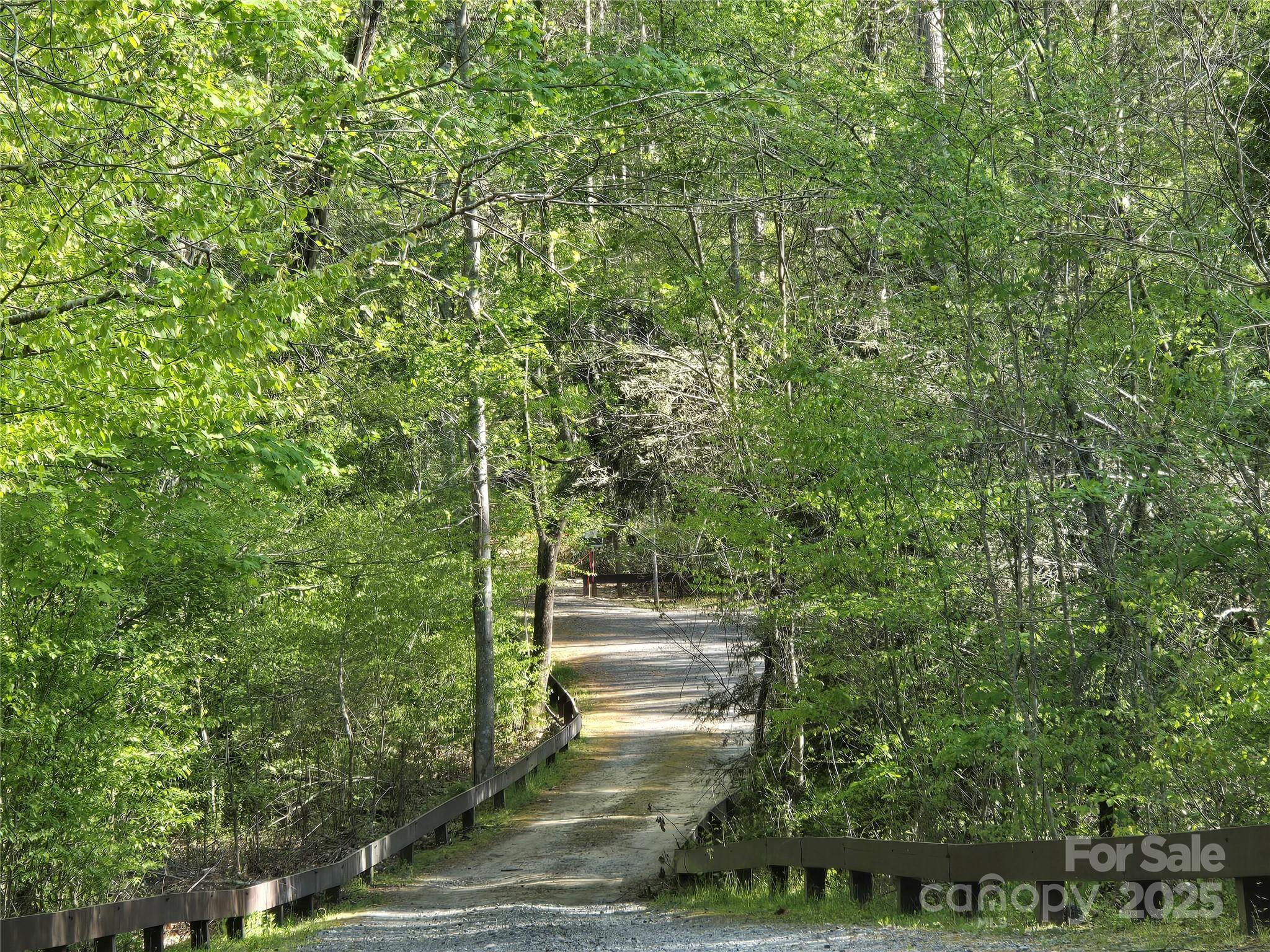 Rumbling Bald on Lake Lure - Land