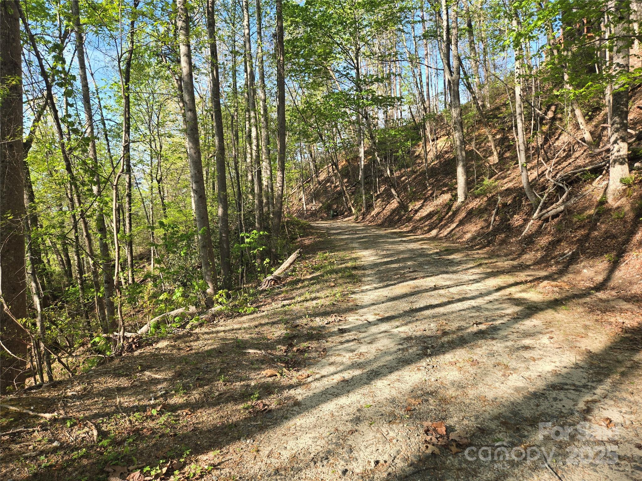 Rumbling Bald on Lake Lure - Land