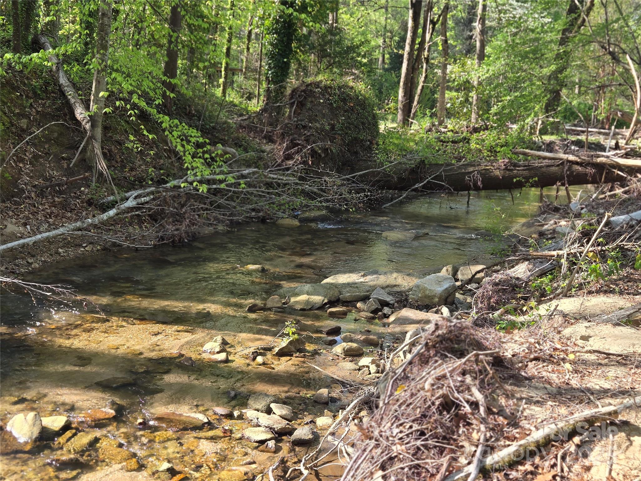 Rumbling Bald on Lake Lure - Land