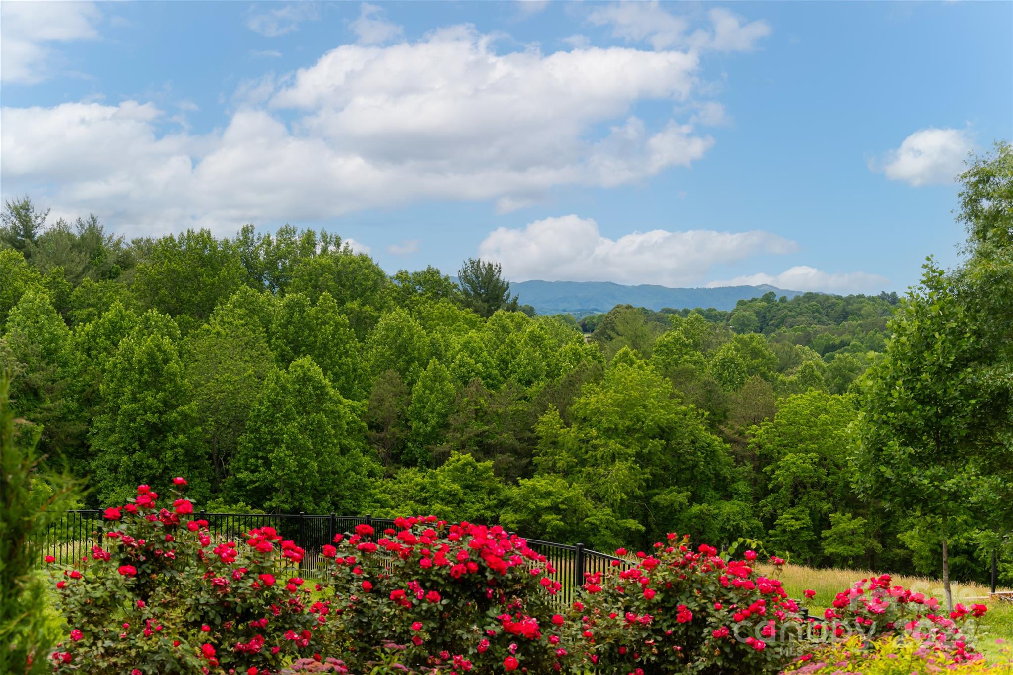 Walnut Grove Plantation - Residential