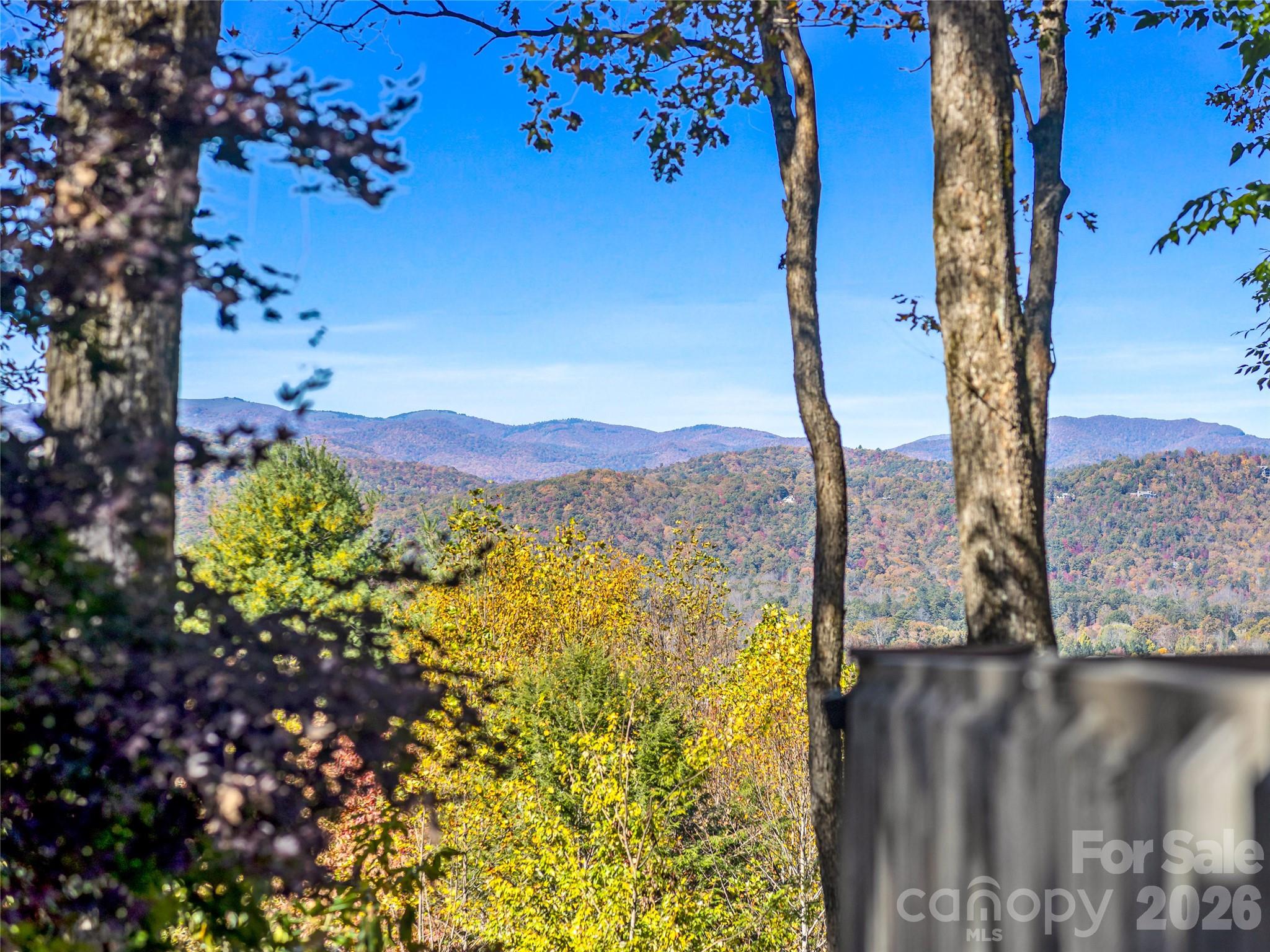 356 Middlemount Road