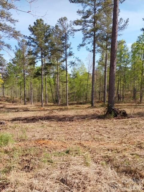 Lakeside Reserve - Land