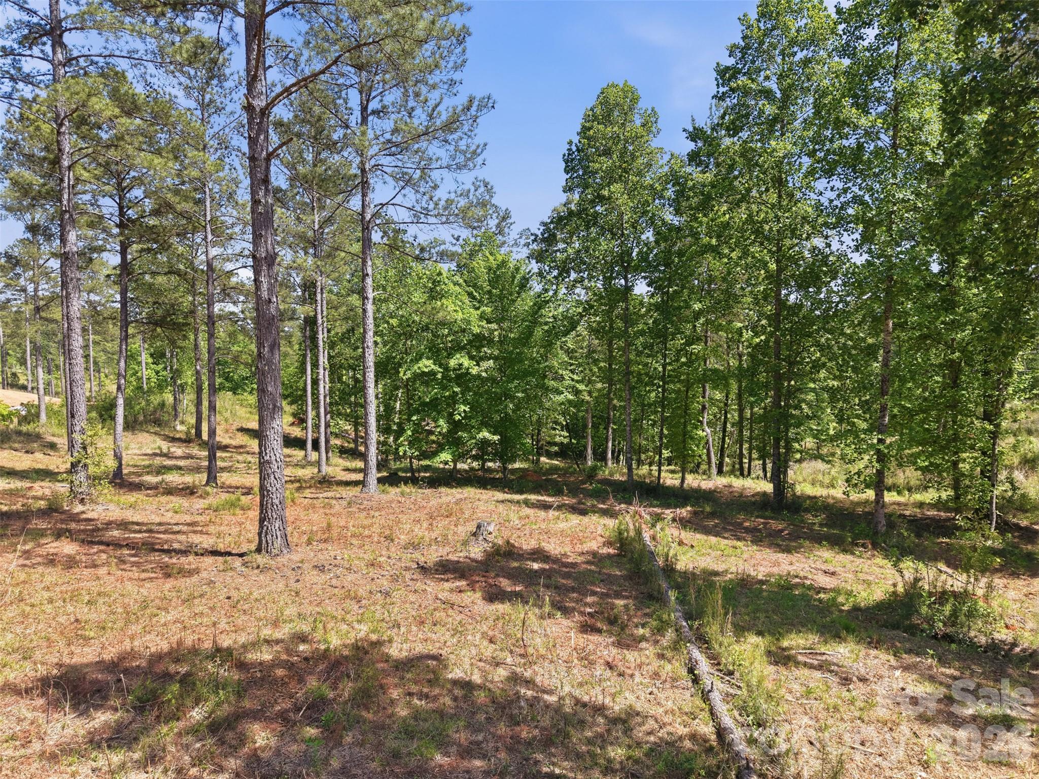 Lakeside Reserve - Land
